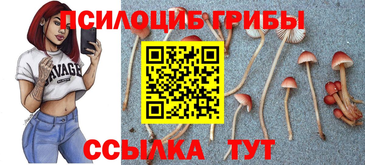 Галлюциногенные грибы мицелий Валуйки